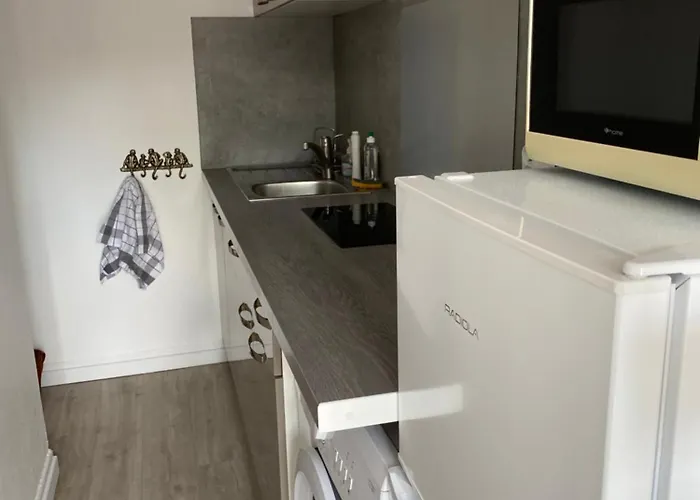 Apartment De Charme Donnant Sur Jardin Arbore Dans Le Calme Absolu *