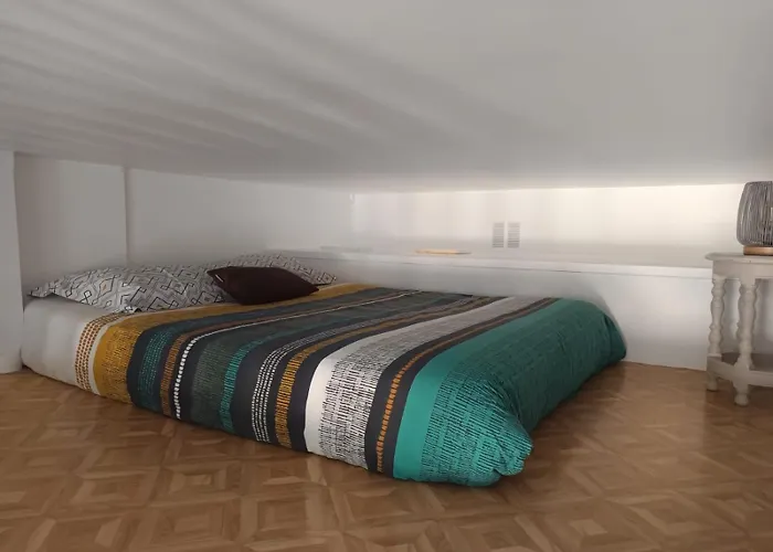 Apartment De Charme Donnant Sur Jardin Arbore Dans Le Calme Absolu *