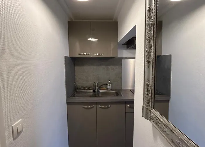 Apartment De Charme Donnant Sur Jardin Arbore Dans Le Calme Absolu Paris