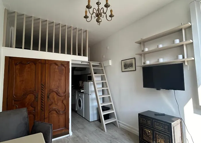 Apartment De Charme Donnant Sur Jardin Arbore Dans Le Calme Absolu Paris