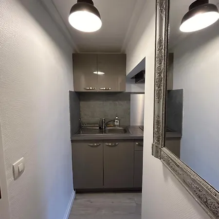 Entierement Renove Donnant Sur Jardin Arbore Dans Le Calme Absolu * Paris