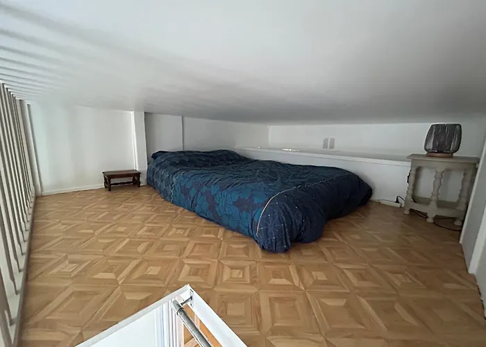 De Charme Donnant Sur Jardin Arbore Dans Le Calme Absolu * Paryż